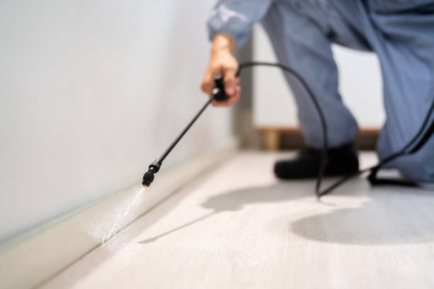 Licensed Pest Control service in Melissa, TX - Show Me Pest Control