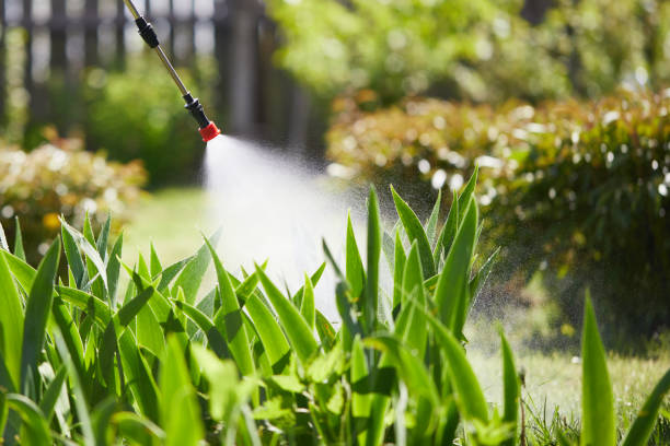 24/7 Emergency Mosquito Control experts in Melissa, TX